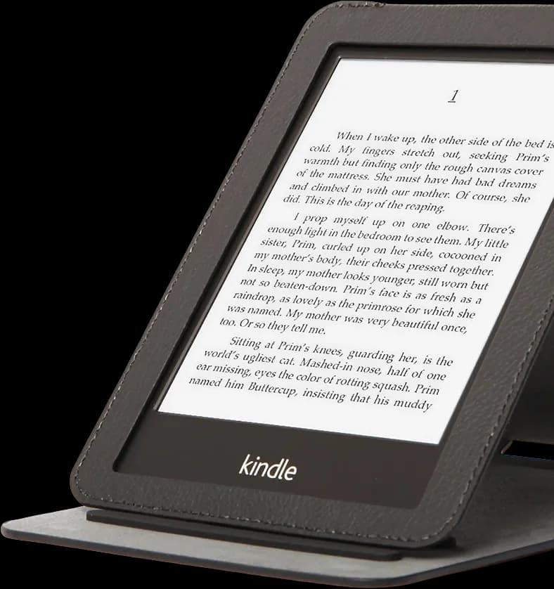 Amazon Kindle device displaying an ebook