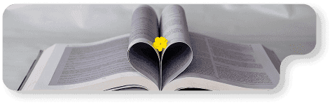 Ebook Writing